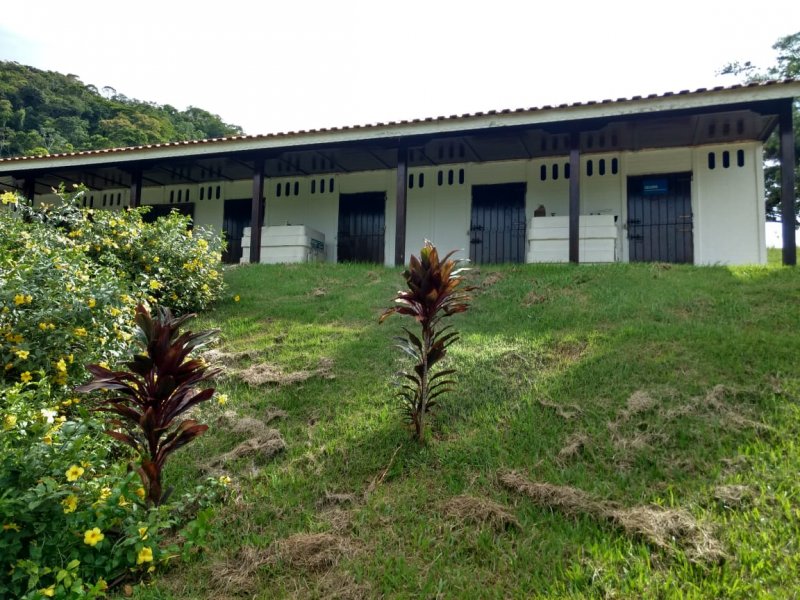 Fazenda à venda, 280m² - Foto 14