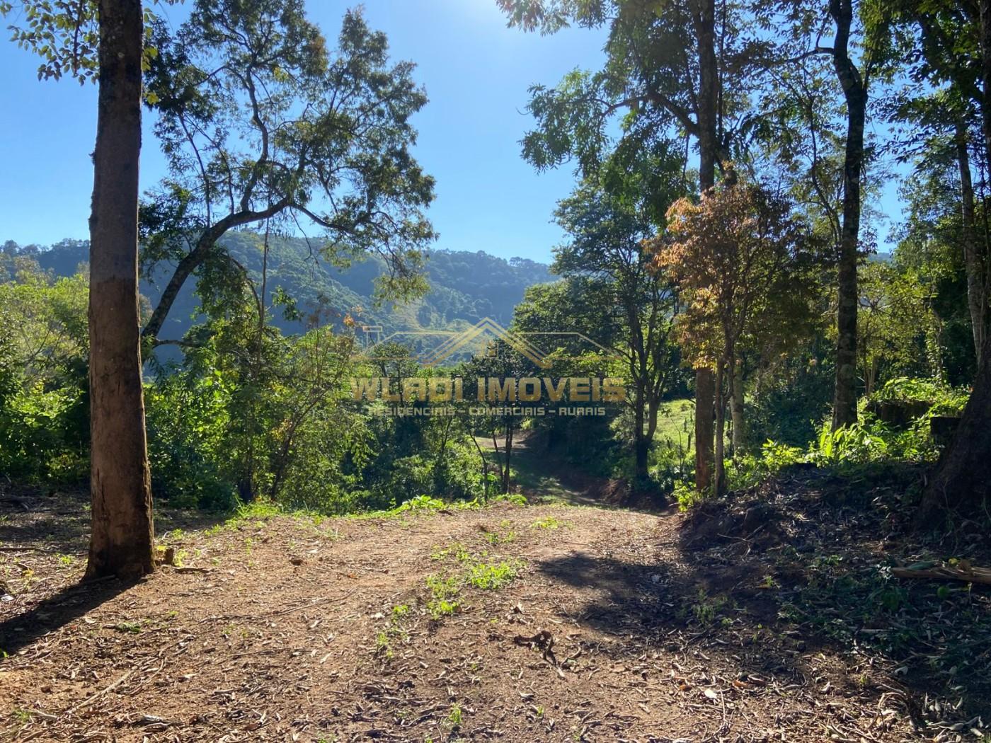Terreno à venda, 40000m² - Foto 1