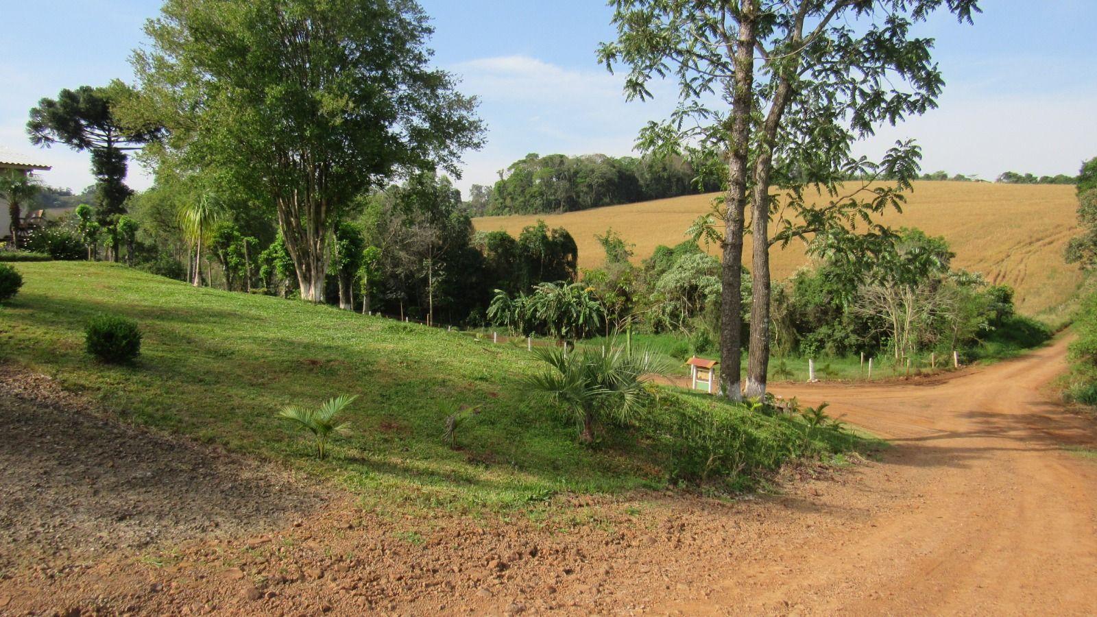 Fazenda à venda com 4 quartos, 12000m² - Foto 15