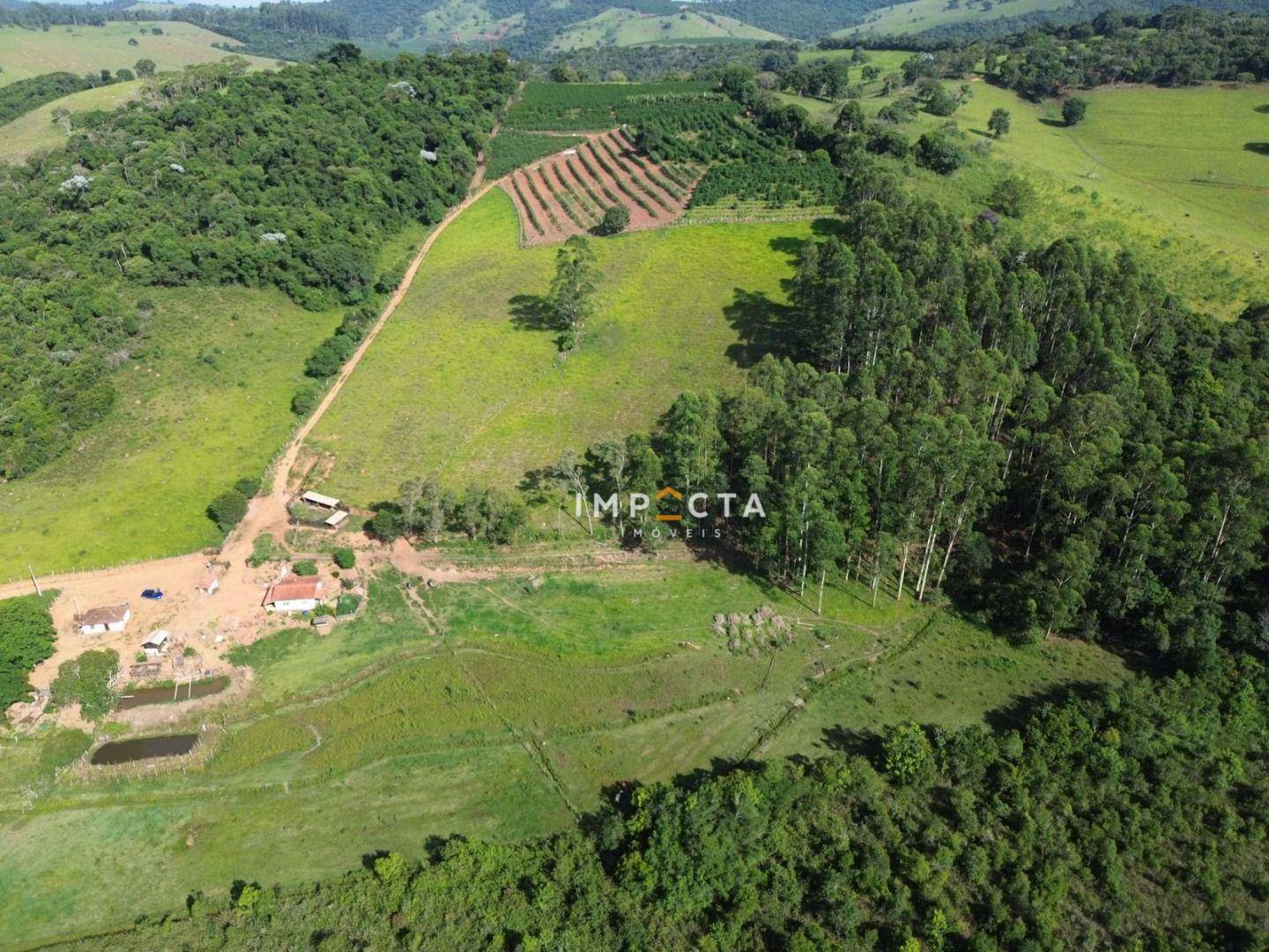 Sítio à venda com 2 quartos, 75000M2 - Foto 14