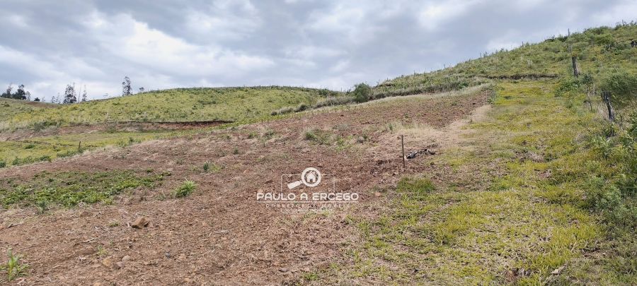 Sítio, 7 hectares - Foto 11