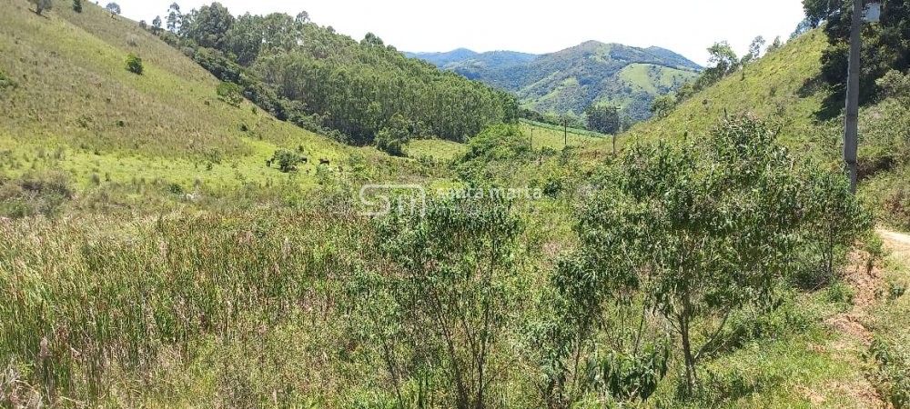 Fazenda à venda com 2 quartos, 150m² - Foto 6