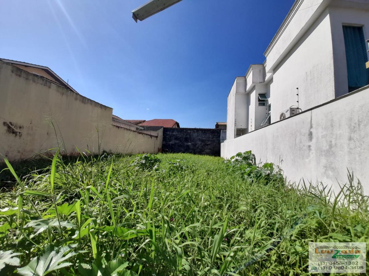 Terreno à venda, 250m² - Foto 2