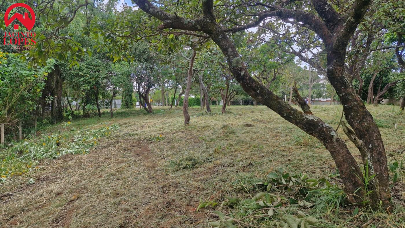 Terreno, 2510 m² - Foto 4