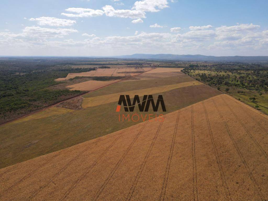 Fazenda-Sítio-Chácara, 707 hectares - Foto 15