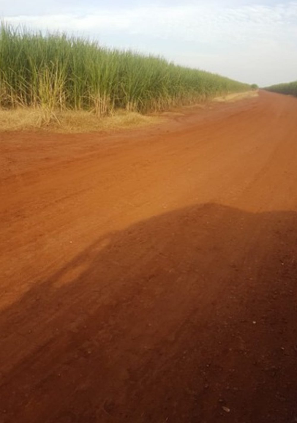 Fazenda, 458 hectares - Foto 2