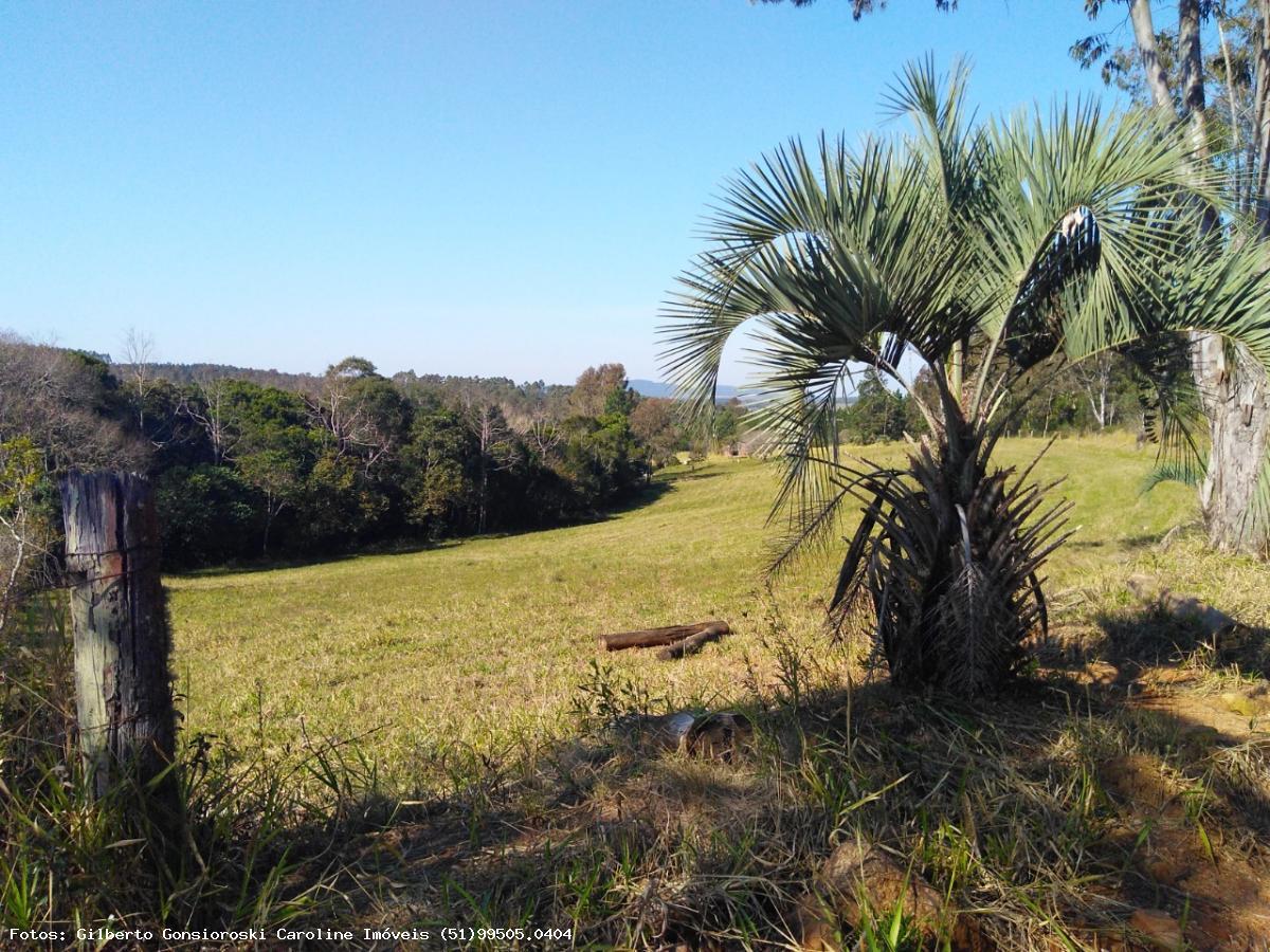 Fazenda à venda com 3 quartos, 24172m² - Foto 30