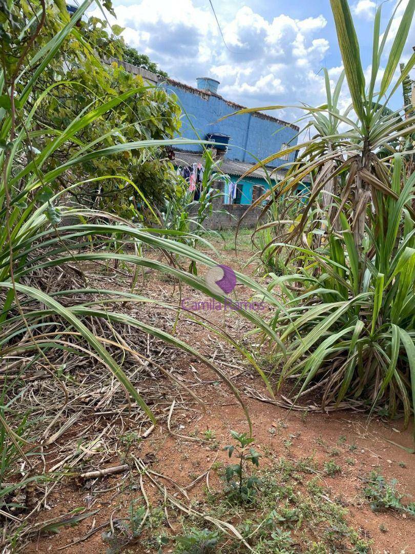 Terreno à venda, 250M2 - Foto 4