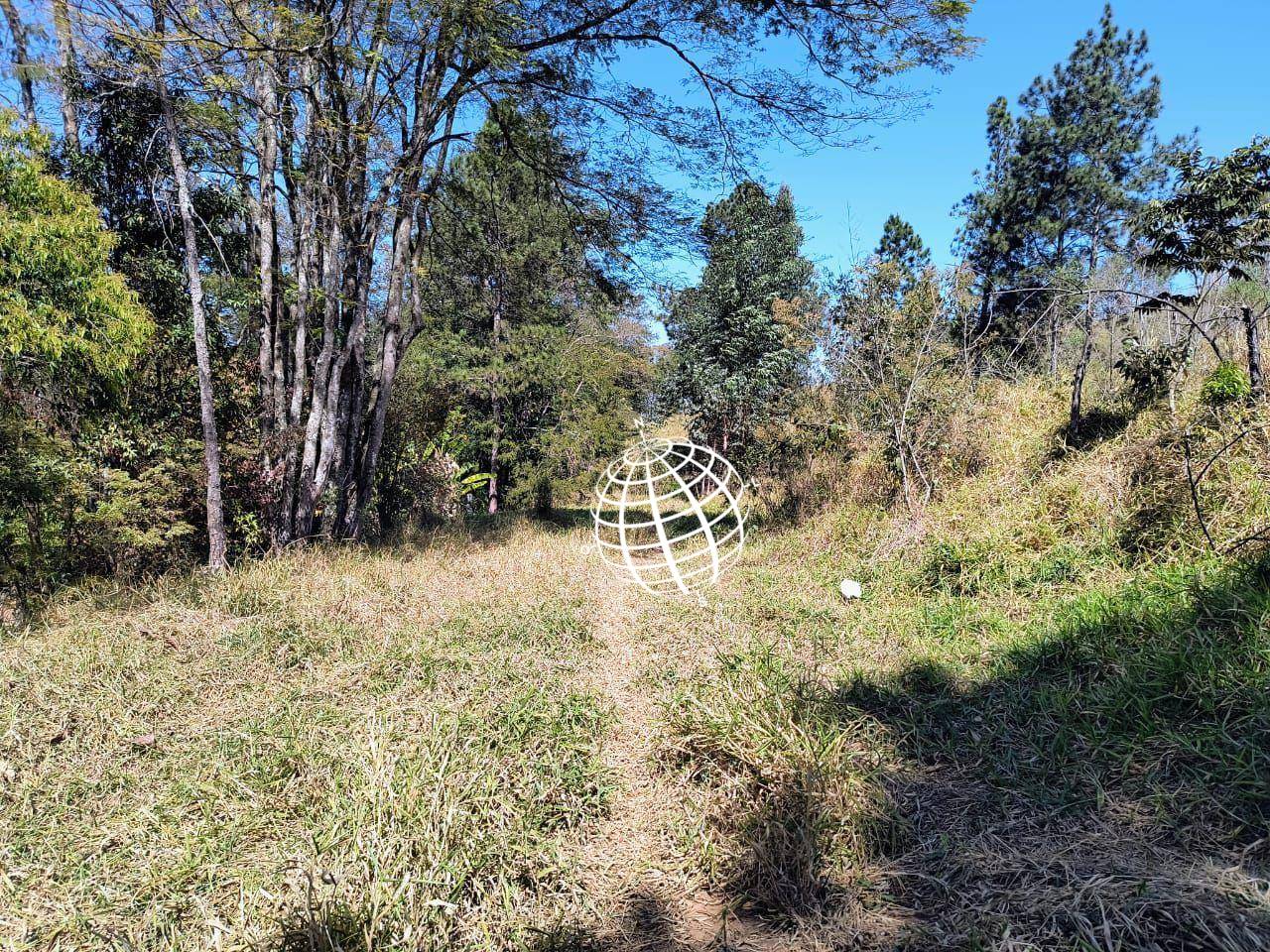 Terreno, 4 hectares - Foto 3