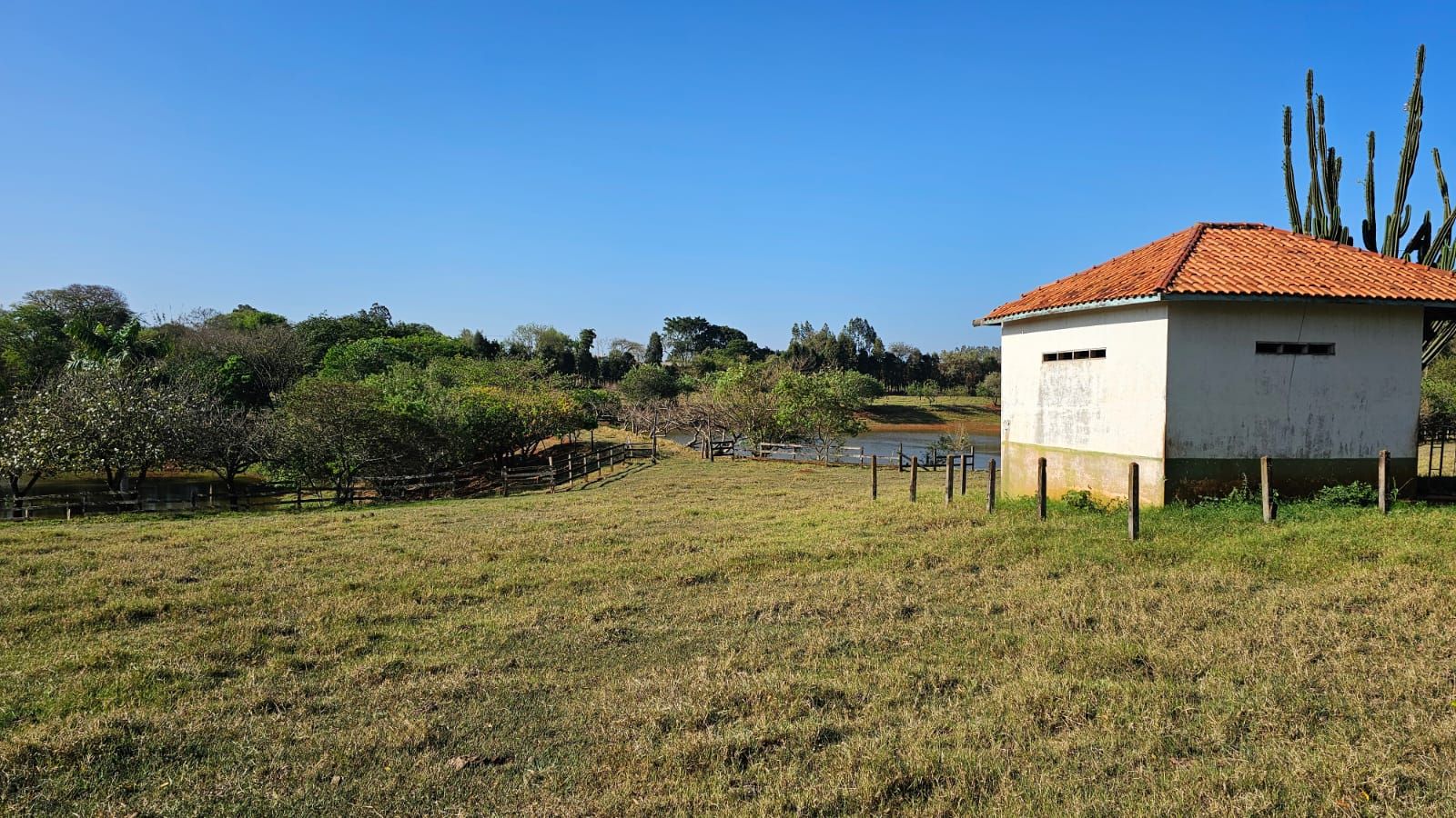 Haras e Área Rural Padrão à venda com 3 quartos, 96800M2 - Foto 12