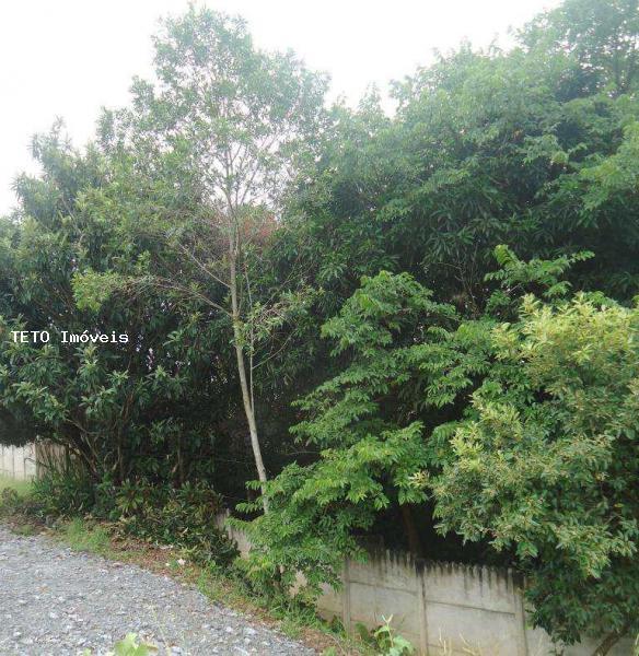 Chácara, 2 quartos, 3106 m² - Foto 2