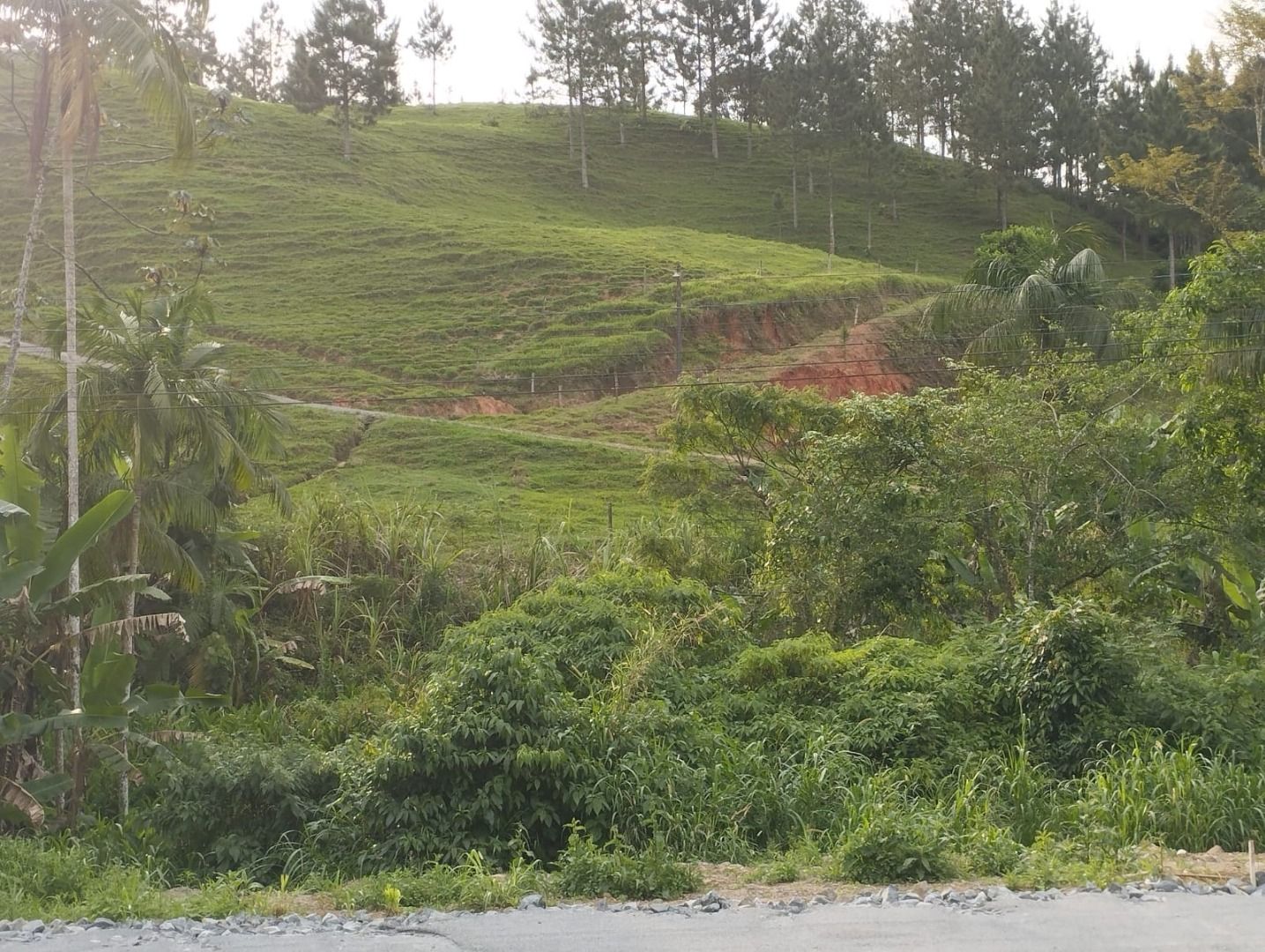 Terreno à venda, 216272M2 - Foto 1