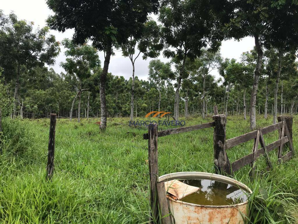 Fazenda à venda, 4250000M2 - Foto 16