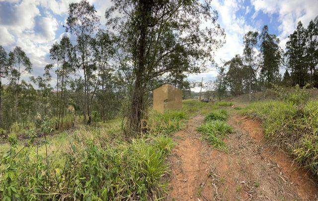 Loteamento e Condomínio à venda, 2952M2 - Foto 4