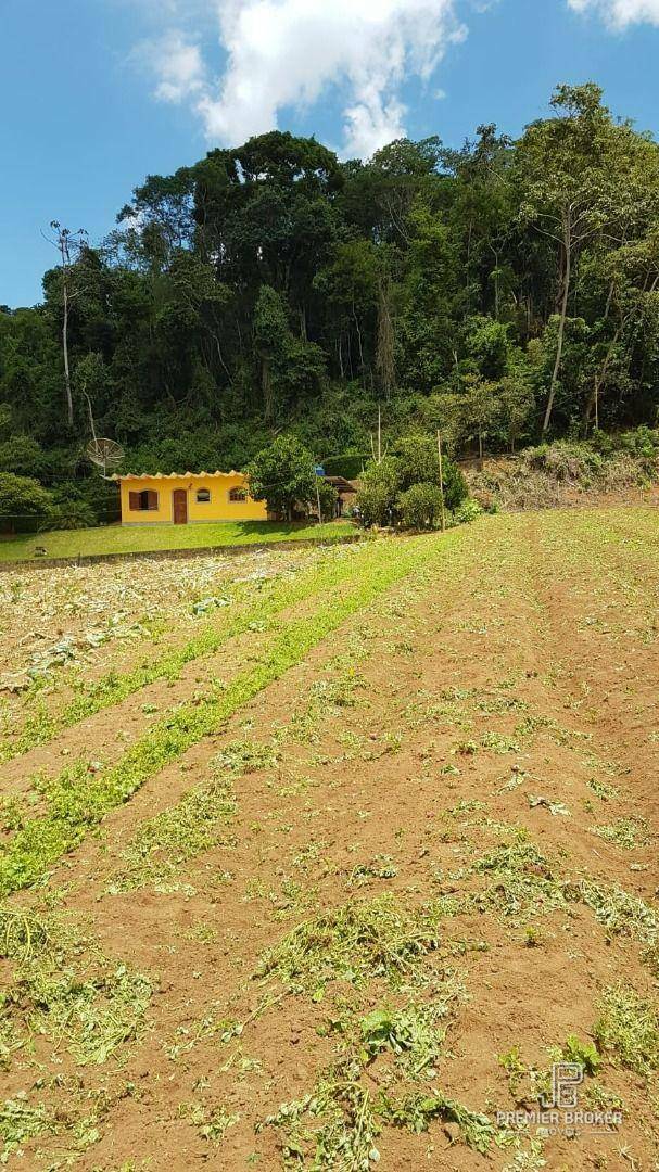 Terreno à venda, 250M2 - Foto 3