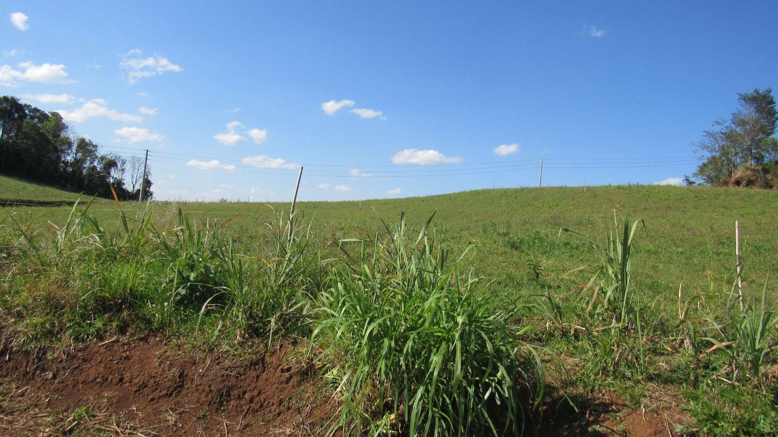 Fazenda à venda, 133000m² - Foto 31