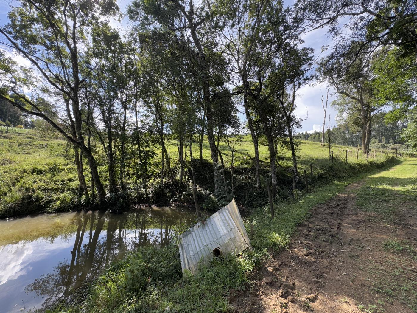 Fazenda à venda com 5 quartos, 18150m² - Foto 3