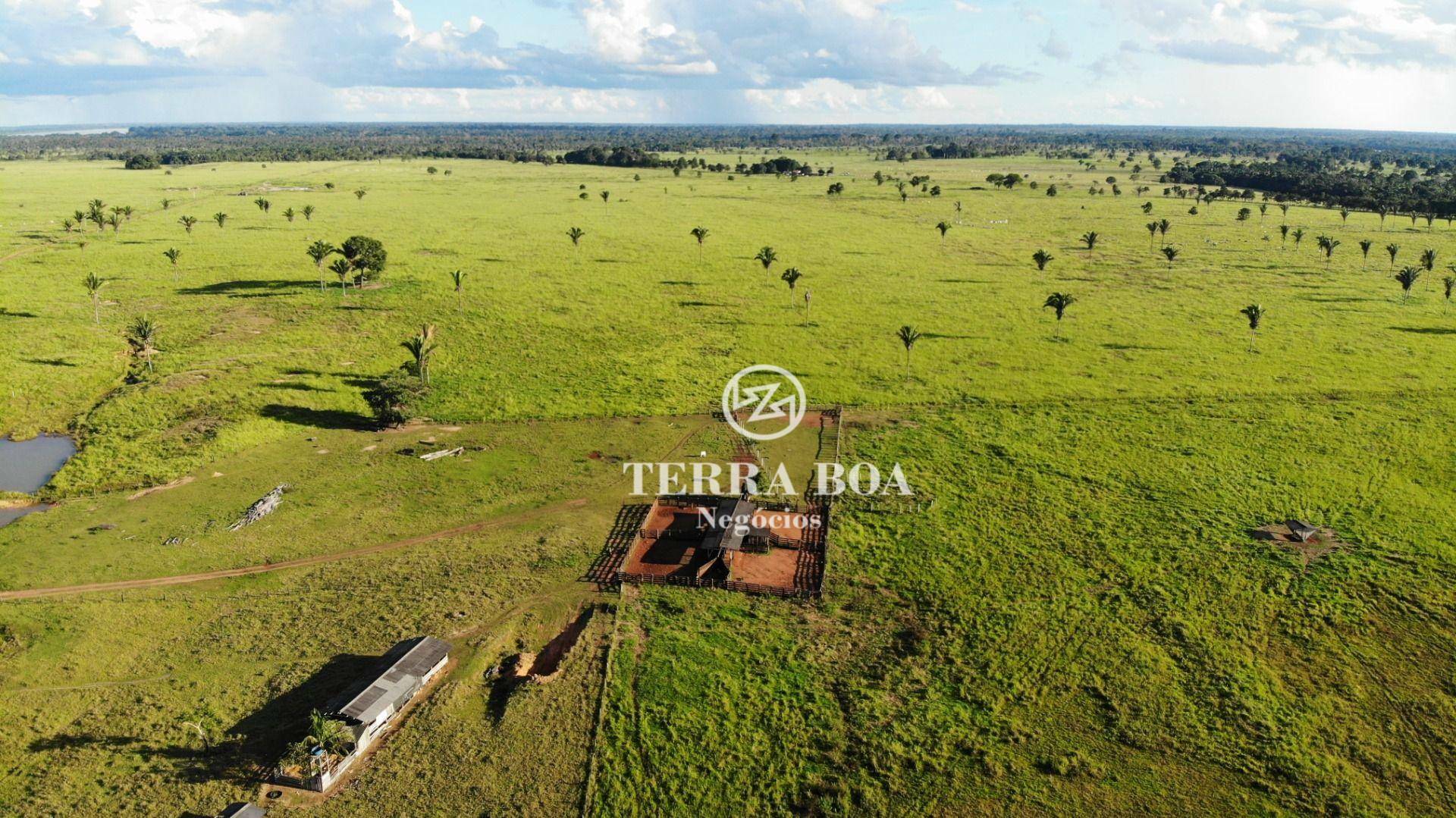 Fazenda-Sítio-Chácara, 1600 hectares - Foto 2