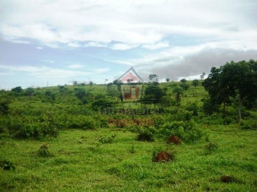 Fazenda-Sítio-Chácara, 1500 hectares - Foto 2