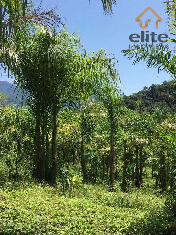 Fazenda à venda com 5 quartos, 4822600M2 - Foto 24