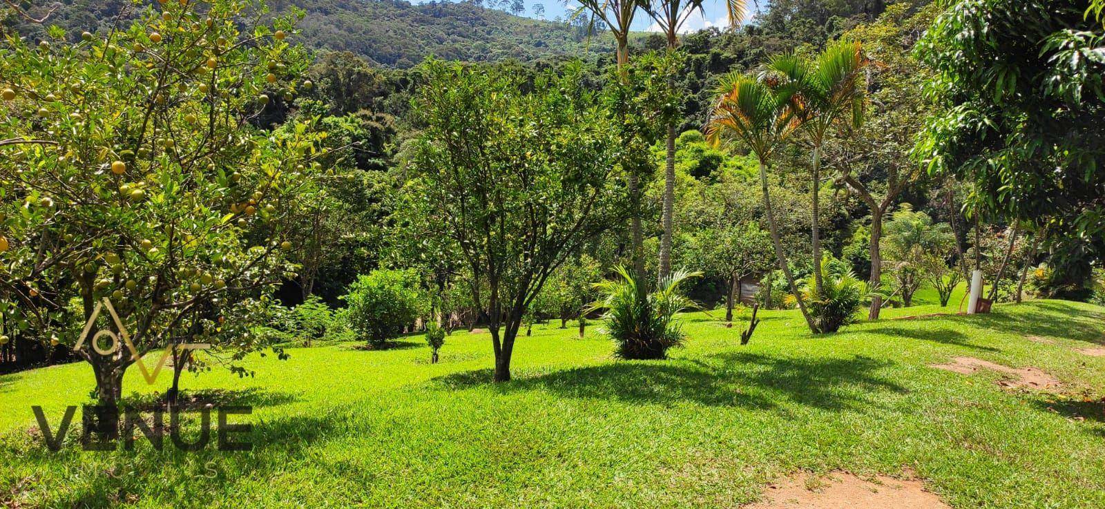 Fazenda à venda com 11 quartos, 200m² - Foto 17