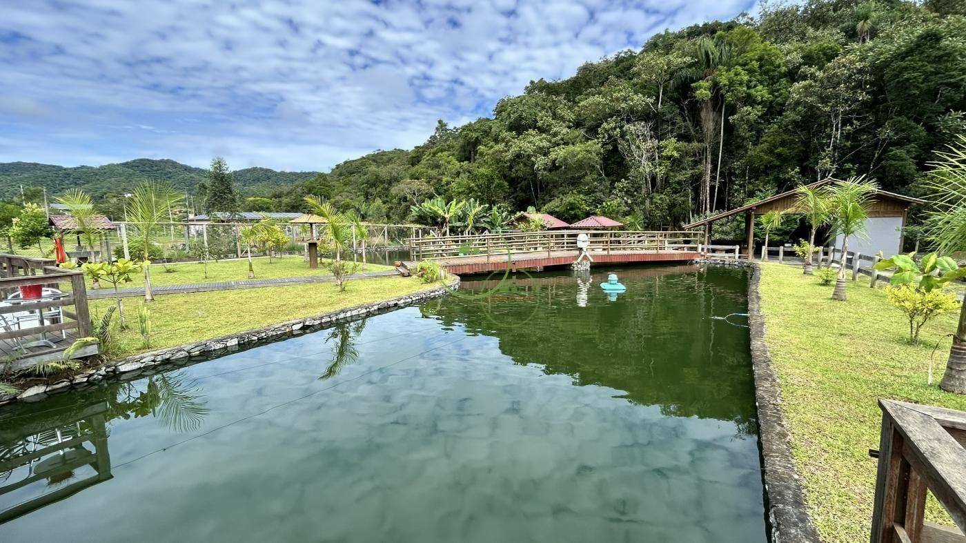 Sítio, 2 hectares - Foto 1