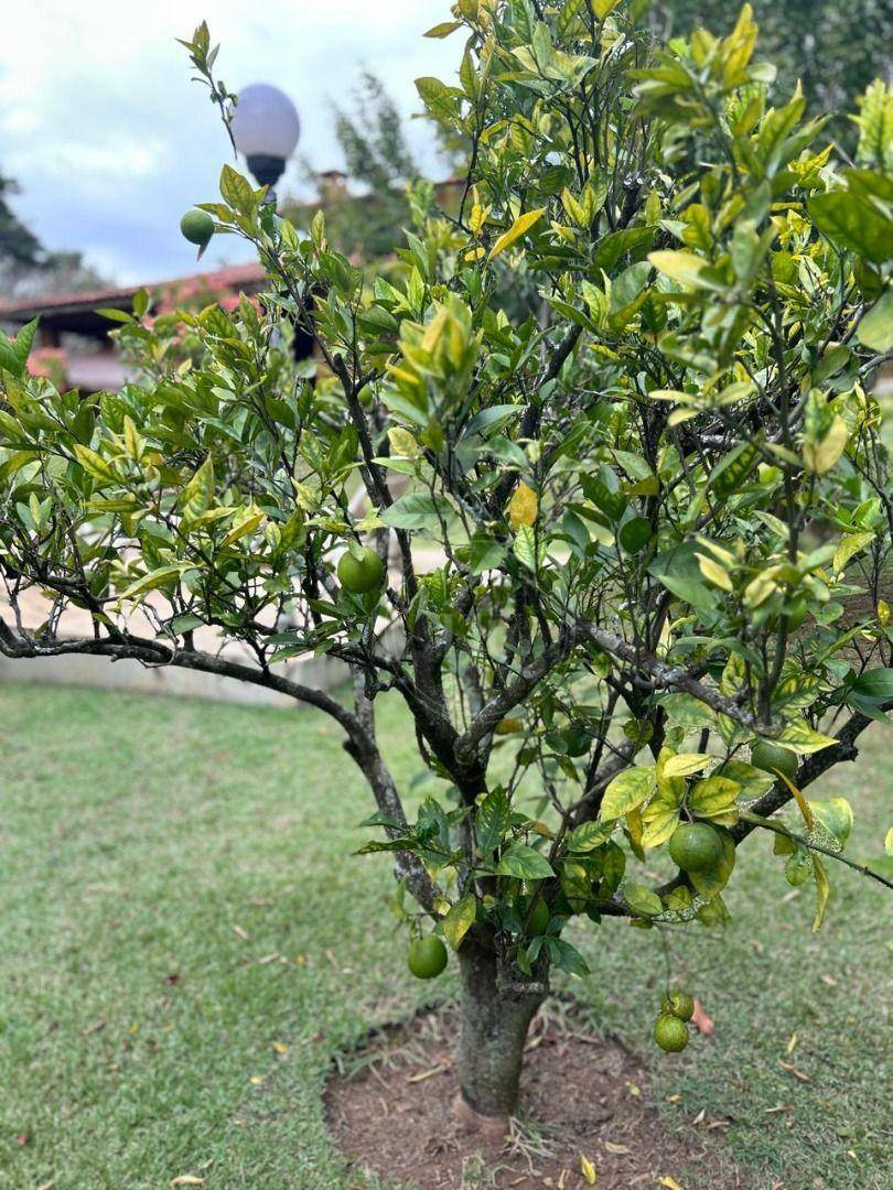 Chácara à venda e aluguel com 4 quartos, 448m² - Foto 38