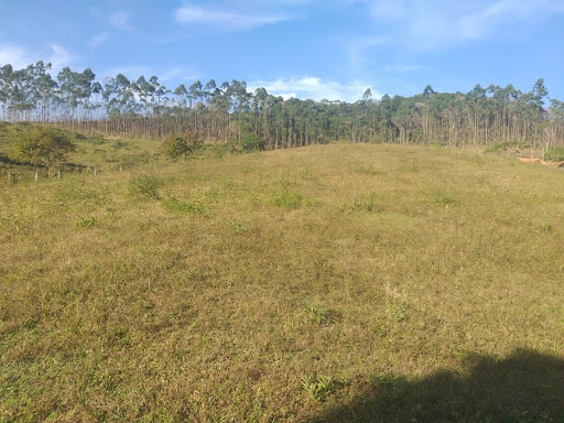 Terreno à venda, 63000M2 - Foto 1