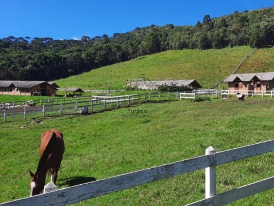 Fazenda à venda com 6 quartos, 1000m² - Foto 7