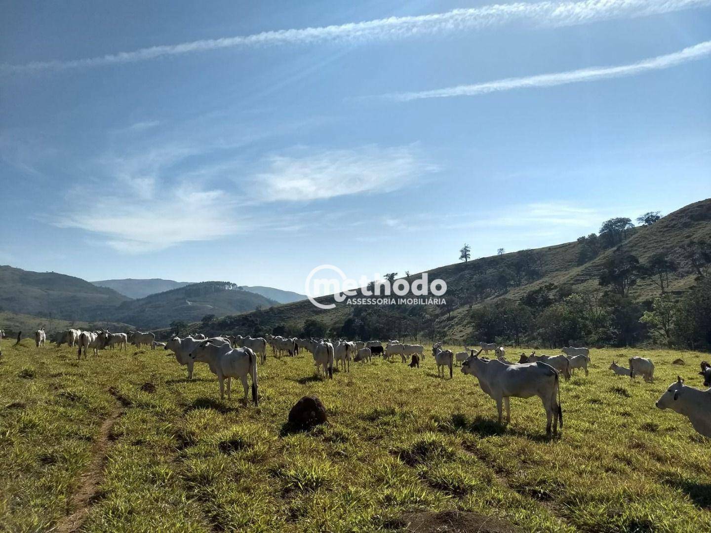 Fazenda à venda com 3 quartos, 123m² - Foto 3