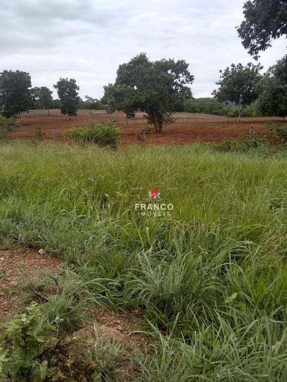 Fazenda à venda com 6 quartos, 350m² - Foto 7