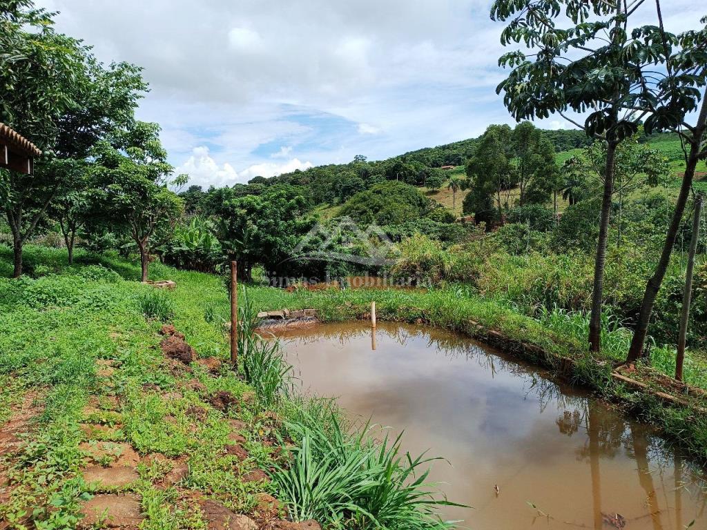 Fazenda à venda com 2 quartos, 3700m² - Foto 2