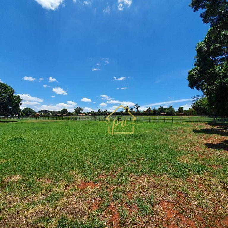 Haras e Área Rural Padrão à venda com 4 quartos, 1000m² - Foto 19