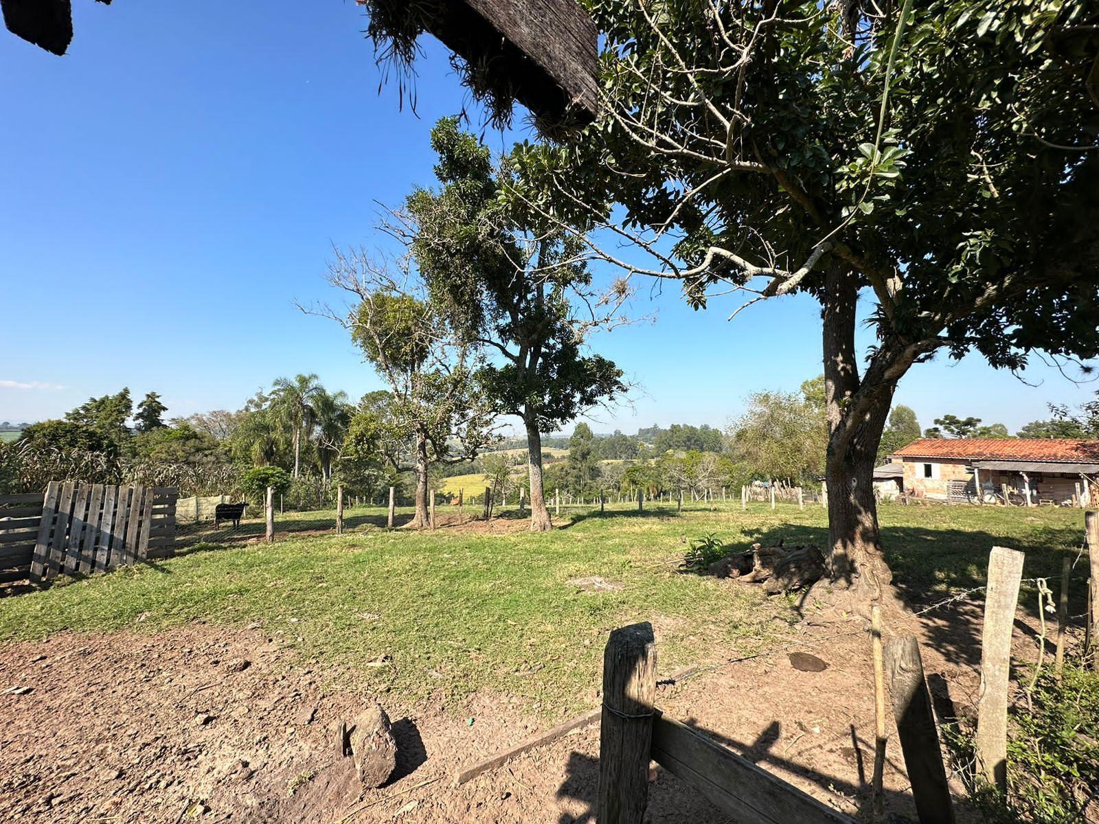 Fazenda à venda com 2 quartos, 14000m² - Foto 2