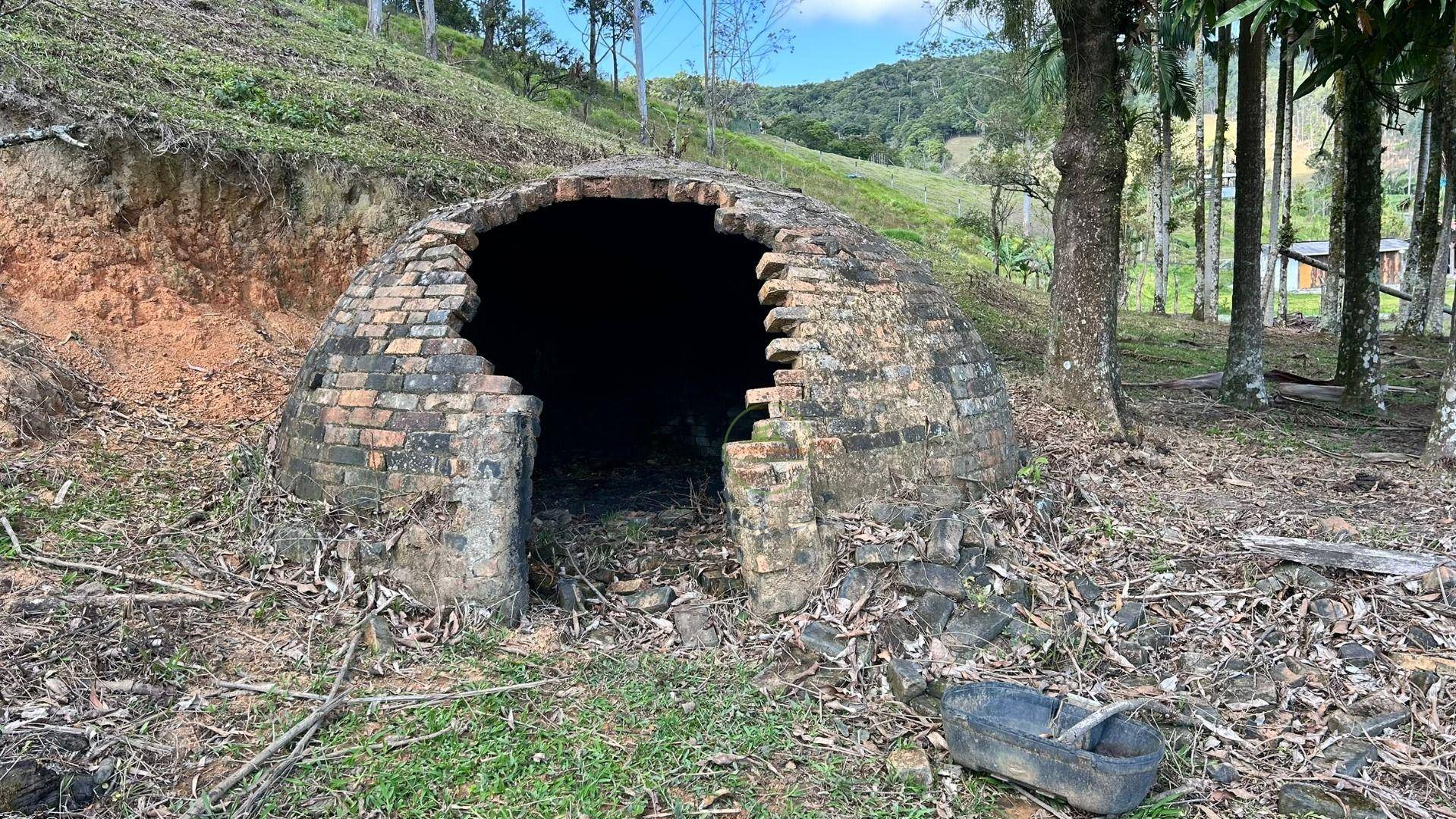 Sítio, 10000 m² - Foto 14