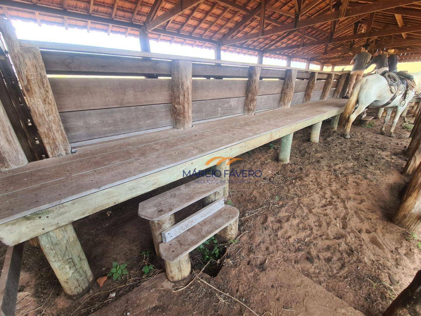 Fazenda à venda, 2299000M2 - Foto 12