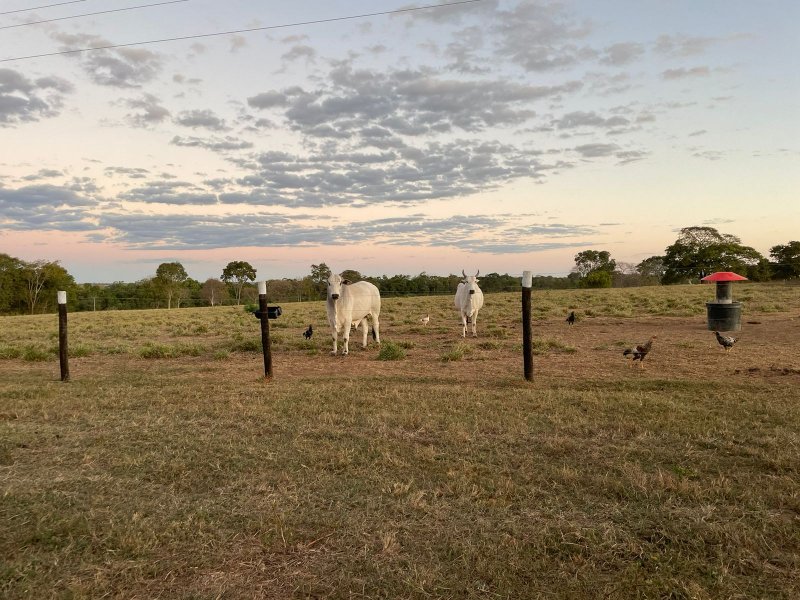 Fazenda à venda, 1580m² - Foto 8