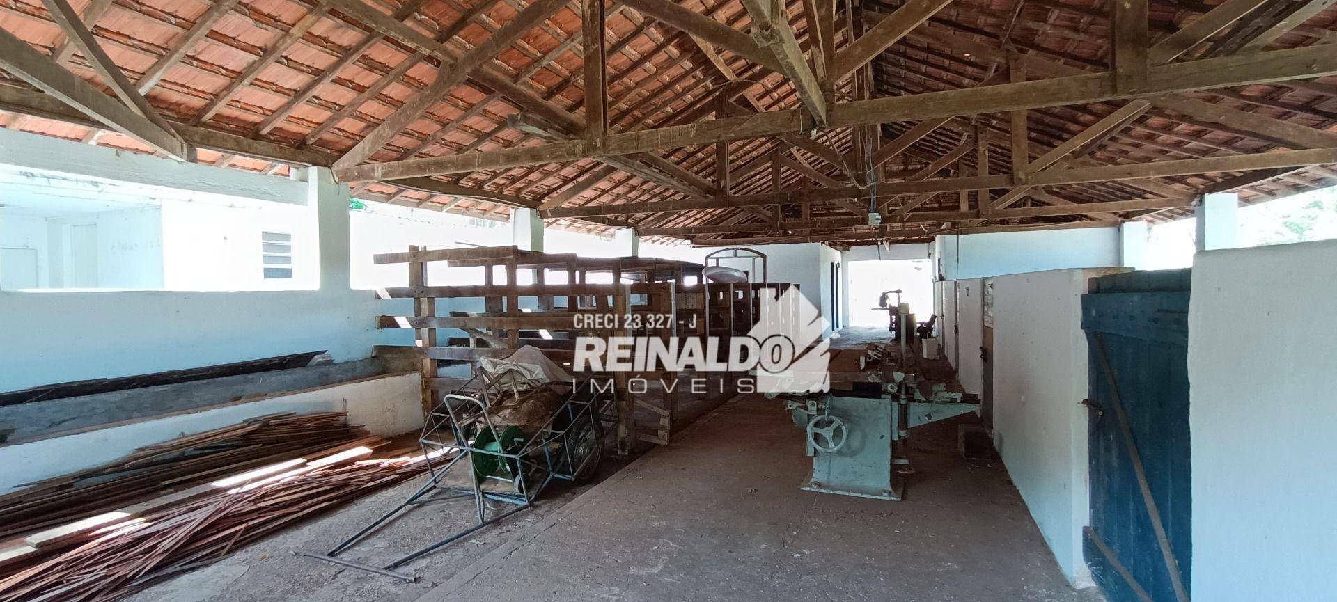 Haras e Área Rural Padrão à venda com 16 quartos, 2500m² - Foto 170