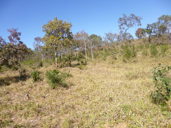 Fazenda à venda - Foto 3