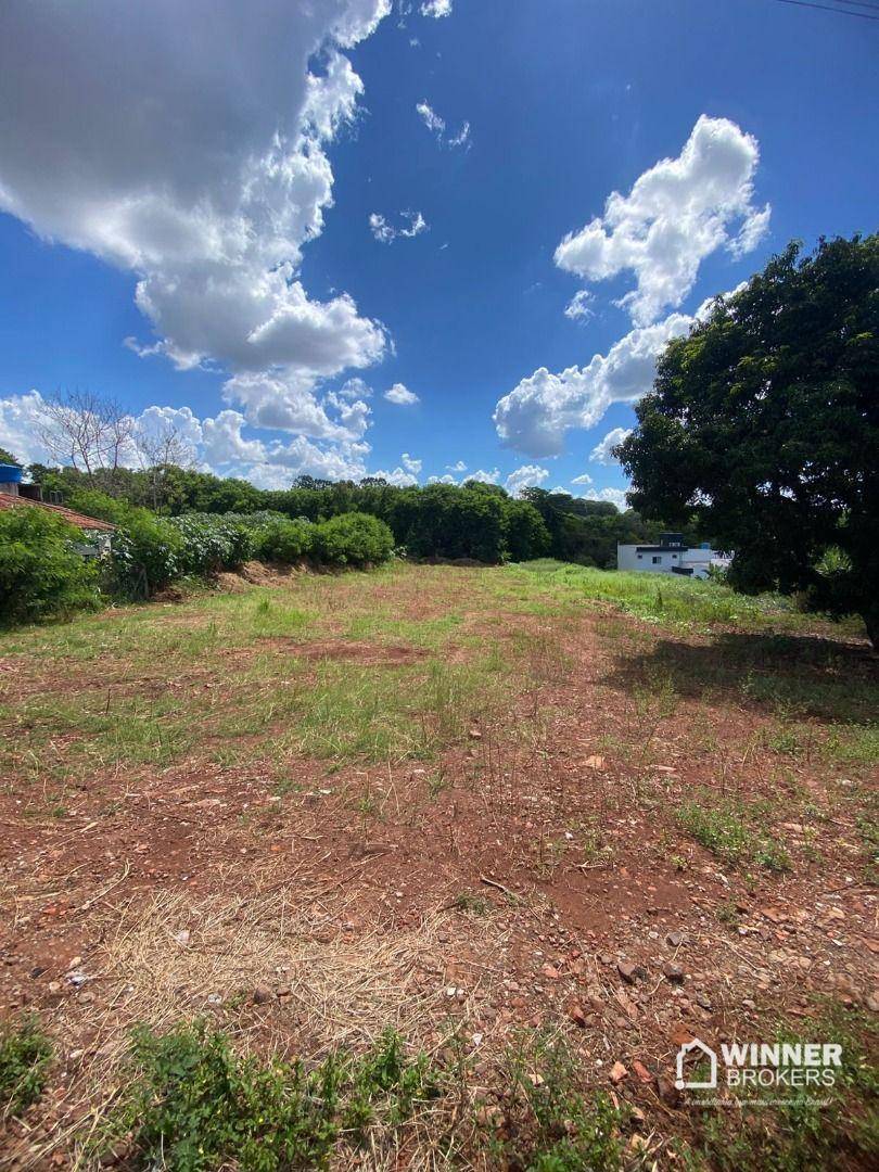 Chácara, 1 quarto, 2456 m² - Foto 3