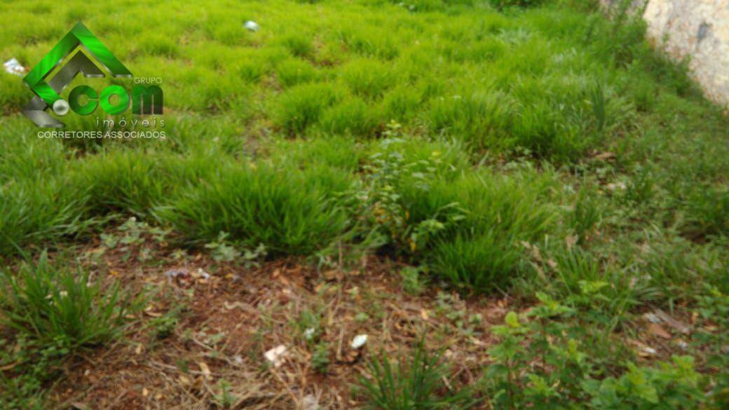 Terreno à venda, 514M2 - Foto 3