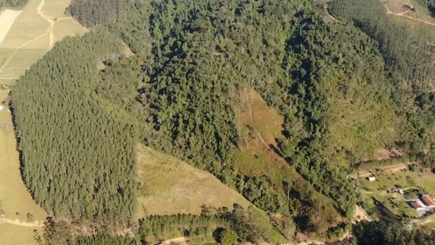 Sítio, 13 hectares - Foto 12