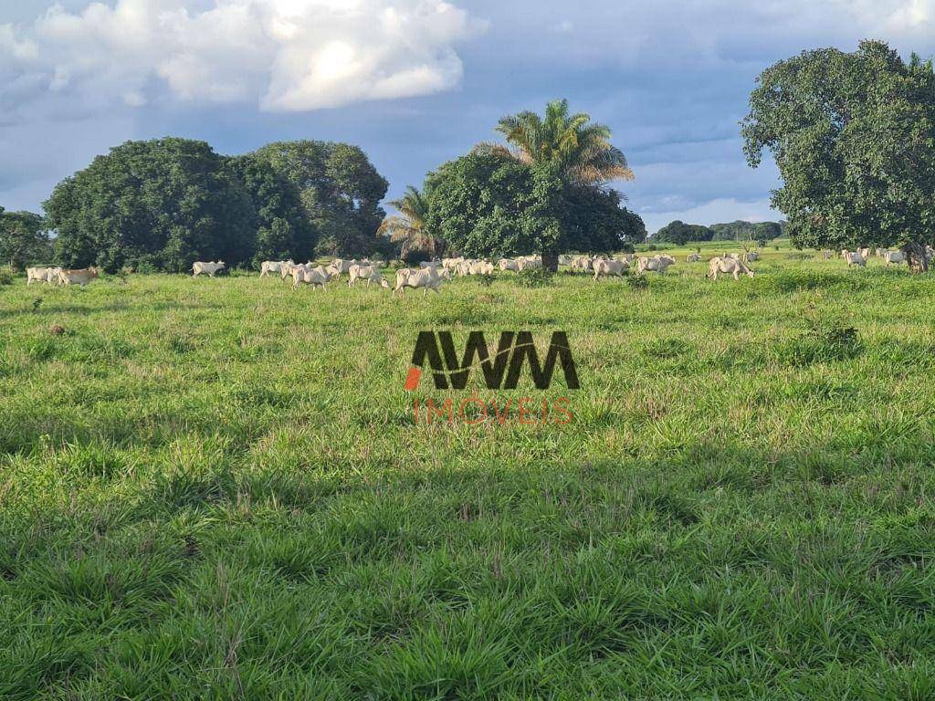 Fazenda à venda, 5234944M2 - Foto 11