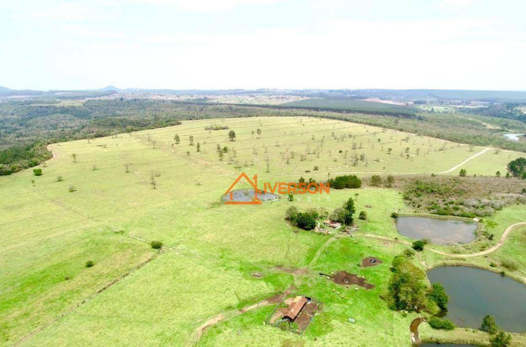 Fazenda à venda com 6 quartos, 1000m² - Foto 37