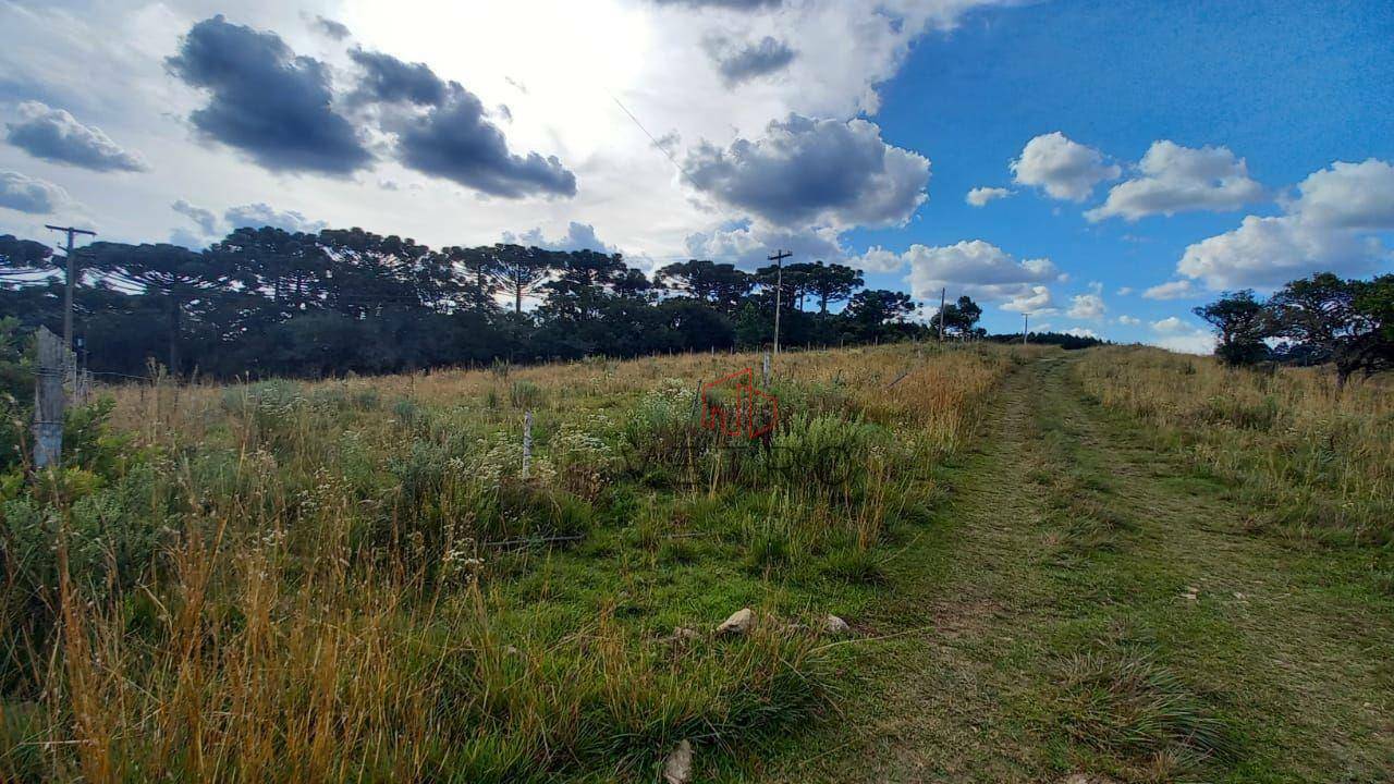 Terreno à venda, 1180M2 - Foto 3