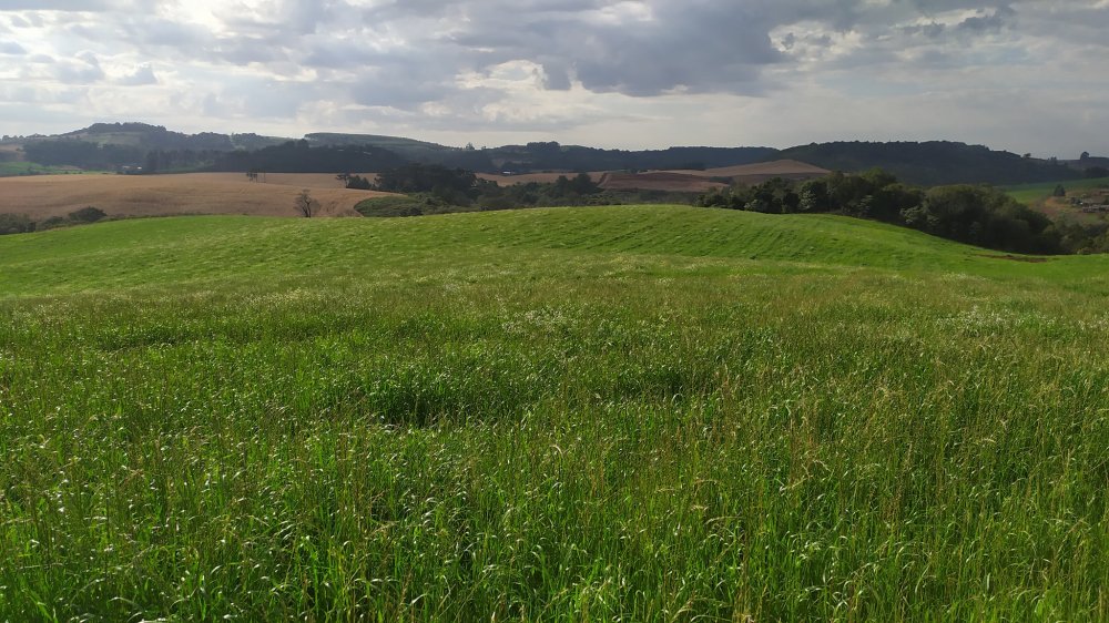 Fazenda à venda, 60m² - Foto 21