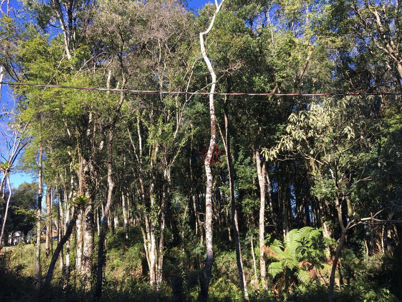 Loteamento e Condomínio à venda, 805M2 - Foto 1