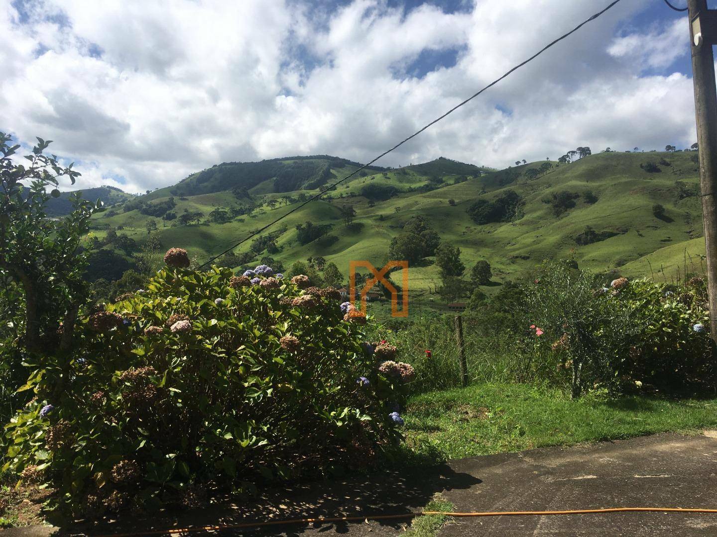 Fazenda à venda com 4 quartos, 3030000M2 - Foto 15