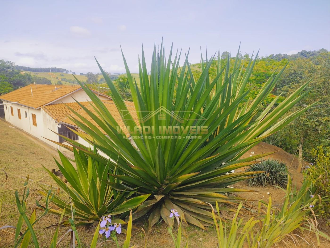 Chácara à venda, 12100m² - Foto 14