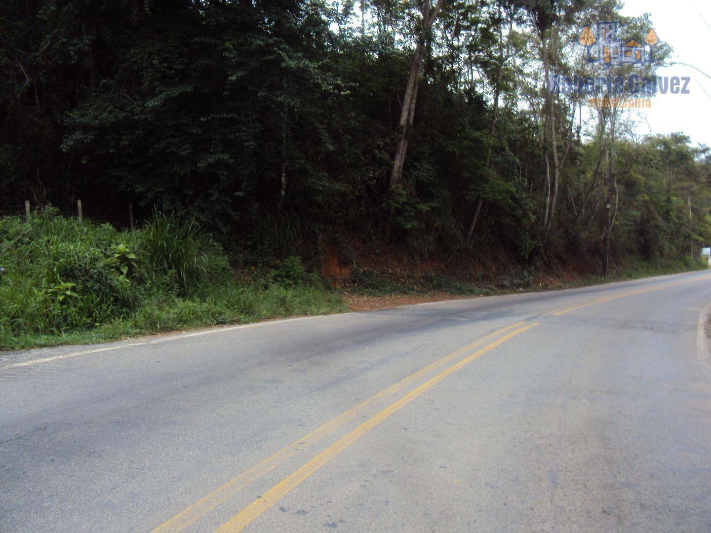 Terreno à venda, 45800M2 - Foto 1